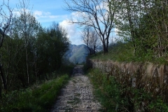 monteFesta5