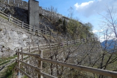 monteFesta7